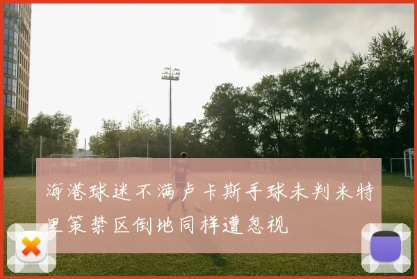 海港球迷不满卢卡斯手球未判米特里策禁区倒地同样遭忽视